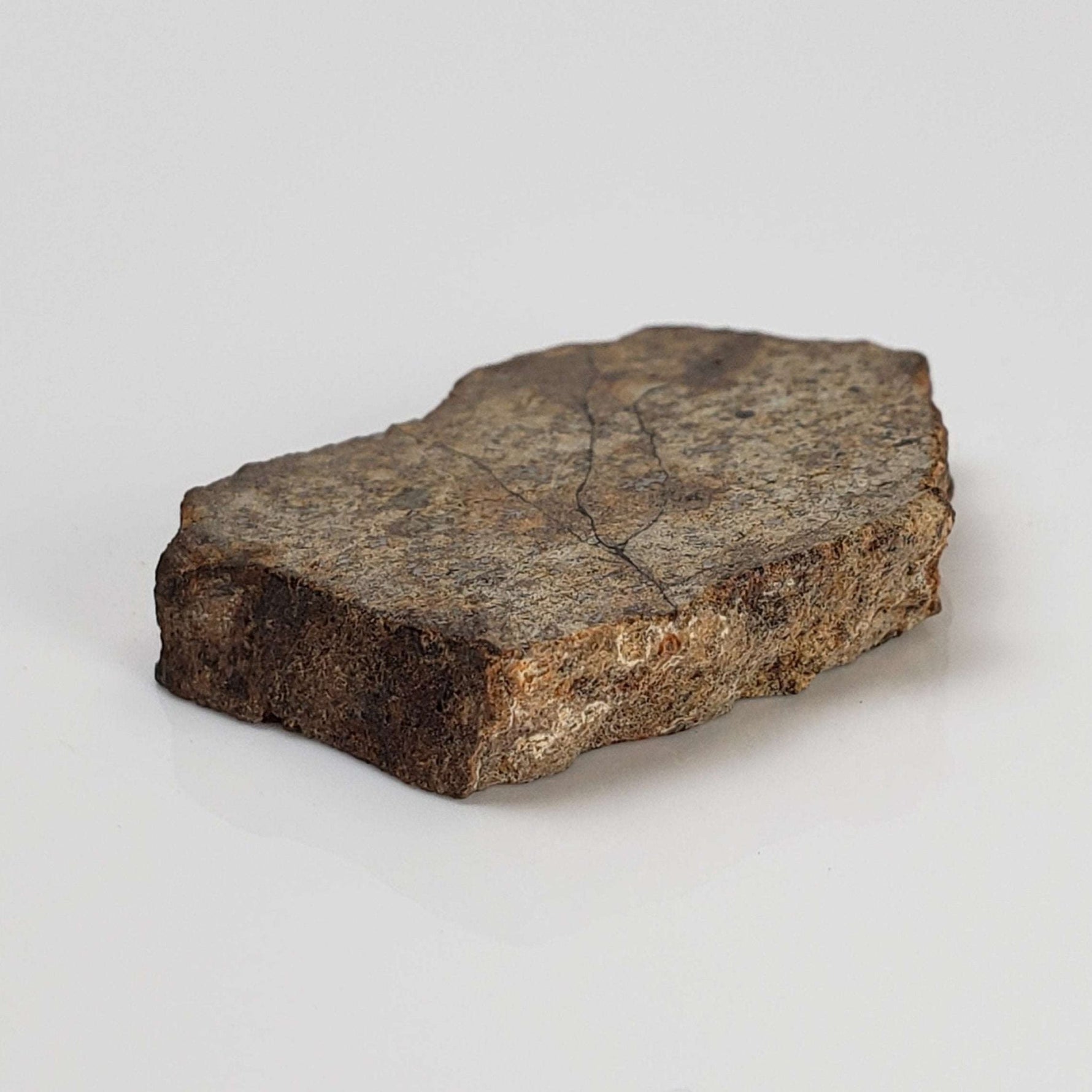  Northwest Africa NWA Meteorite | 9.0 Grams | Slice | Sahara 3