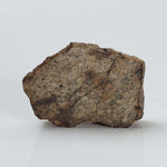  Northwest Africa NWA Meteorite | 9.0 Grams | Slice | Sahara 4