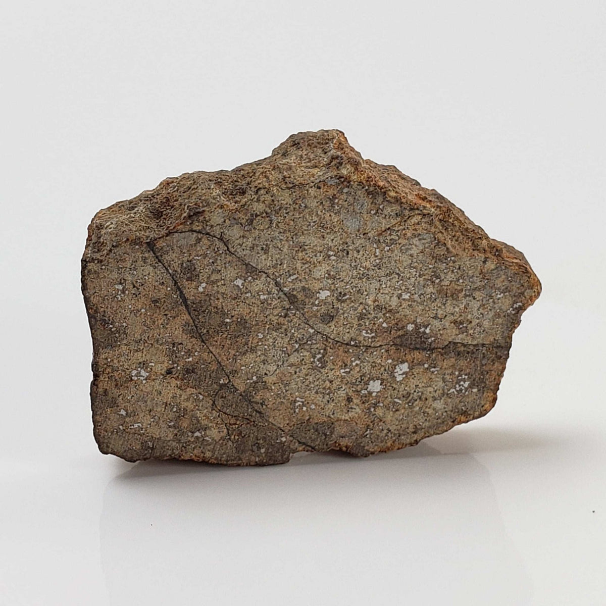  Northwest Africa NWA Meteorite | 9.0 Grams | Slice | Sahara 5