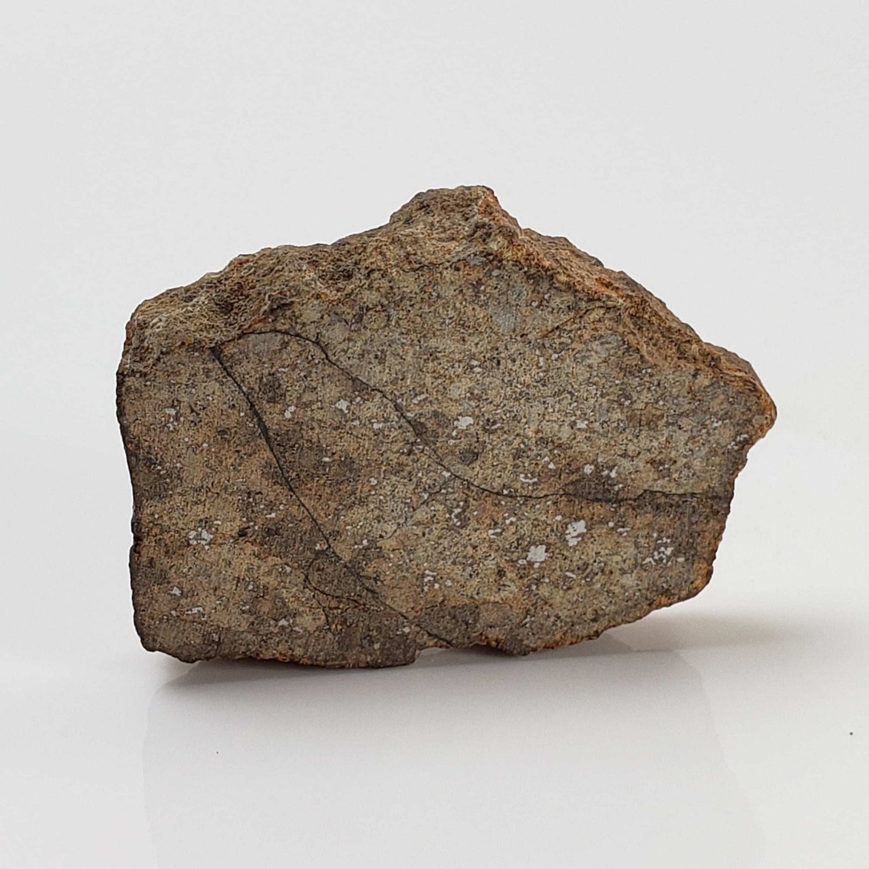 Northwest Africa NWA Meteorite | 9.0 Grams | Slice | Sahara 5