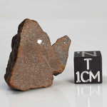  Northwest Africa NWA Meteorite | 9.9 Grams | End Cut | Sahara 