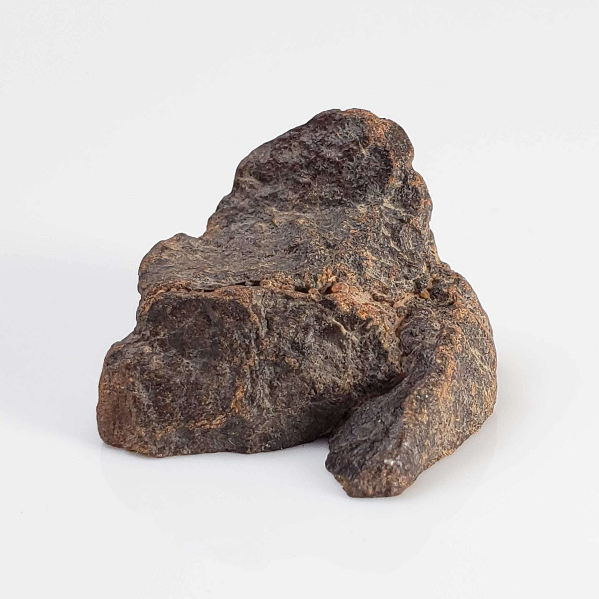  Northwest Africa NWA Meteorite | 9.9 Grams | End Cut | Sahara 2