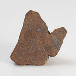  Northwest Africa NWA Meteorite | 9.9 Grams | End Cut | Sahara 4