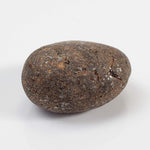 Northwest Africa NWA Meteorite | 9 Grams | Individual | Tumbled Meteorite | Sahara-canagem-1