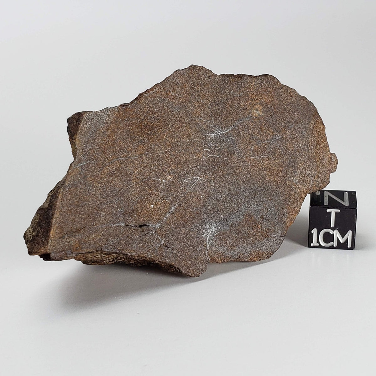  Northwest Africa NWA Meteorite | 95 Grams | End Cut | Sahara 