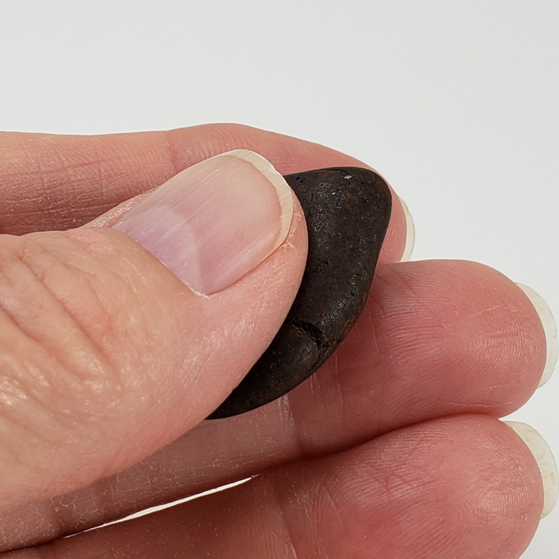  Northwest Africa NWA Meteorite | Meteorite Worry Stone | 9.5 Grams | Individual | Tumbled Meteorite | Sahara | SO24 2