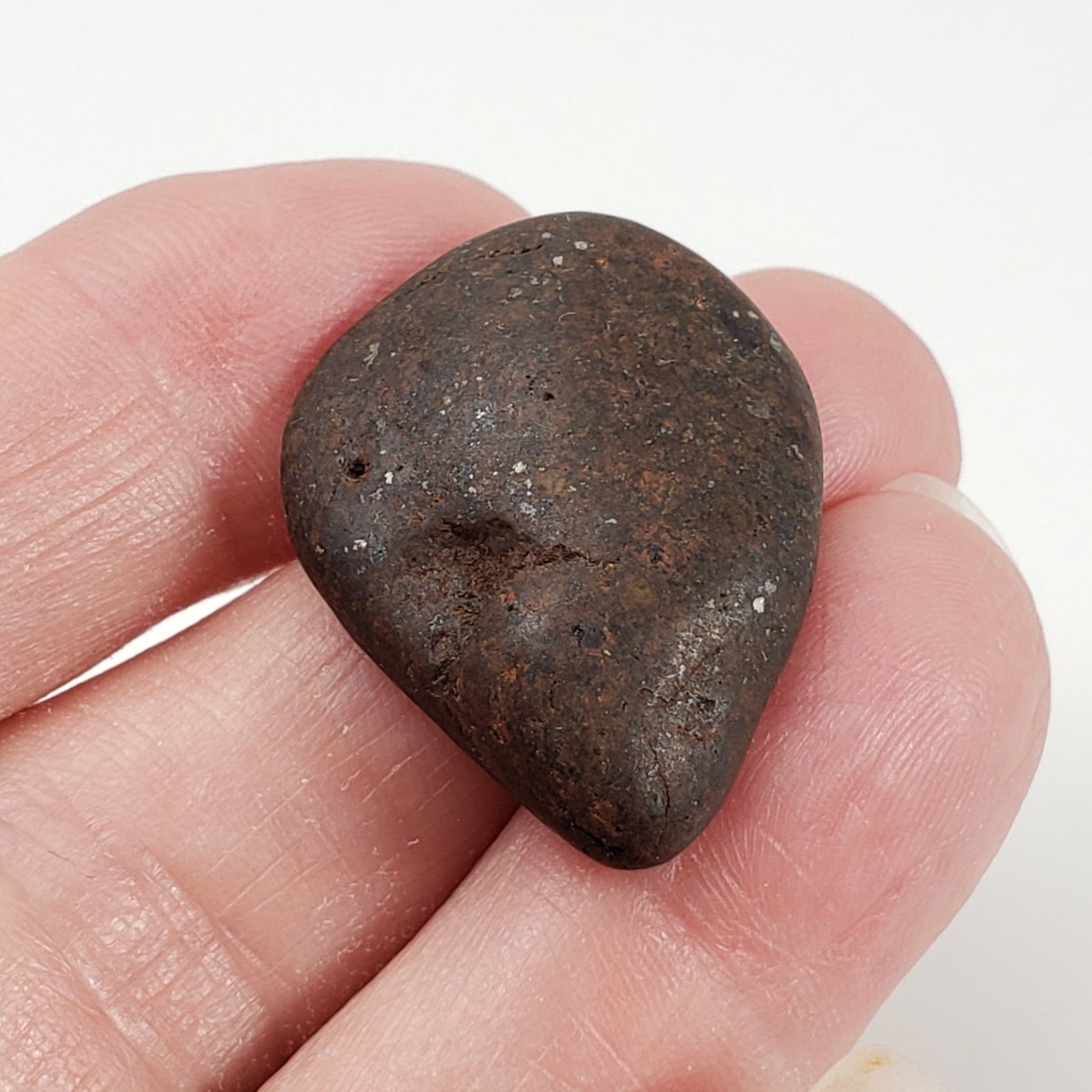  Northwest Africa NWA Meteorite | Meteorite Worry Stone | 9.5 Grams | Individual | Tumbled Meteorite | Sahara | SO24 8