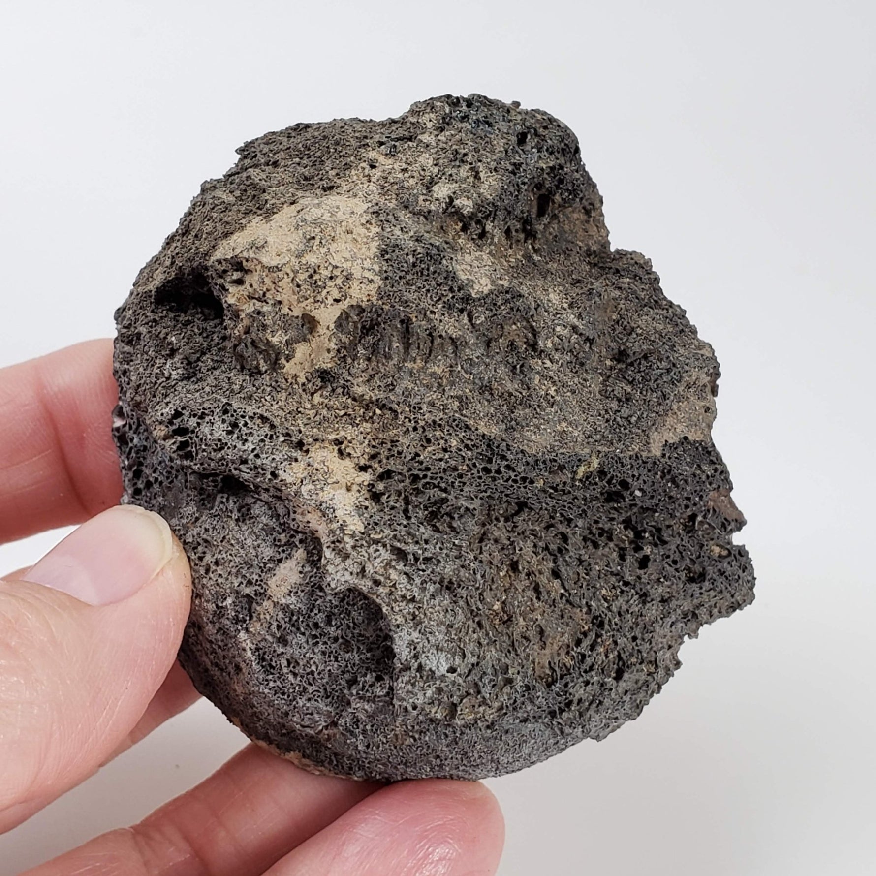  Olivine Volcanic Bomb | Lava Coated Crystal | 140 gr | Mt Shadwell Volcano, Australia 6