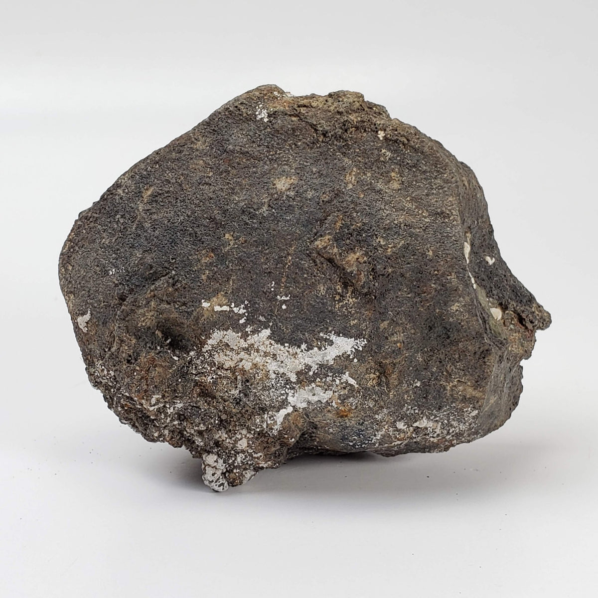 Olivine Volcanic Bomb | Lava Coated Crystal | 173 gr | Mt Shadwell Volcano, Australia | SO24 3