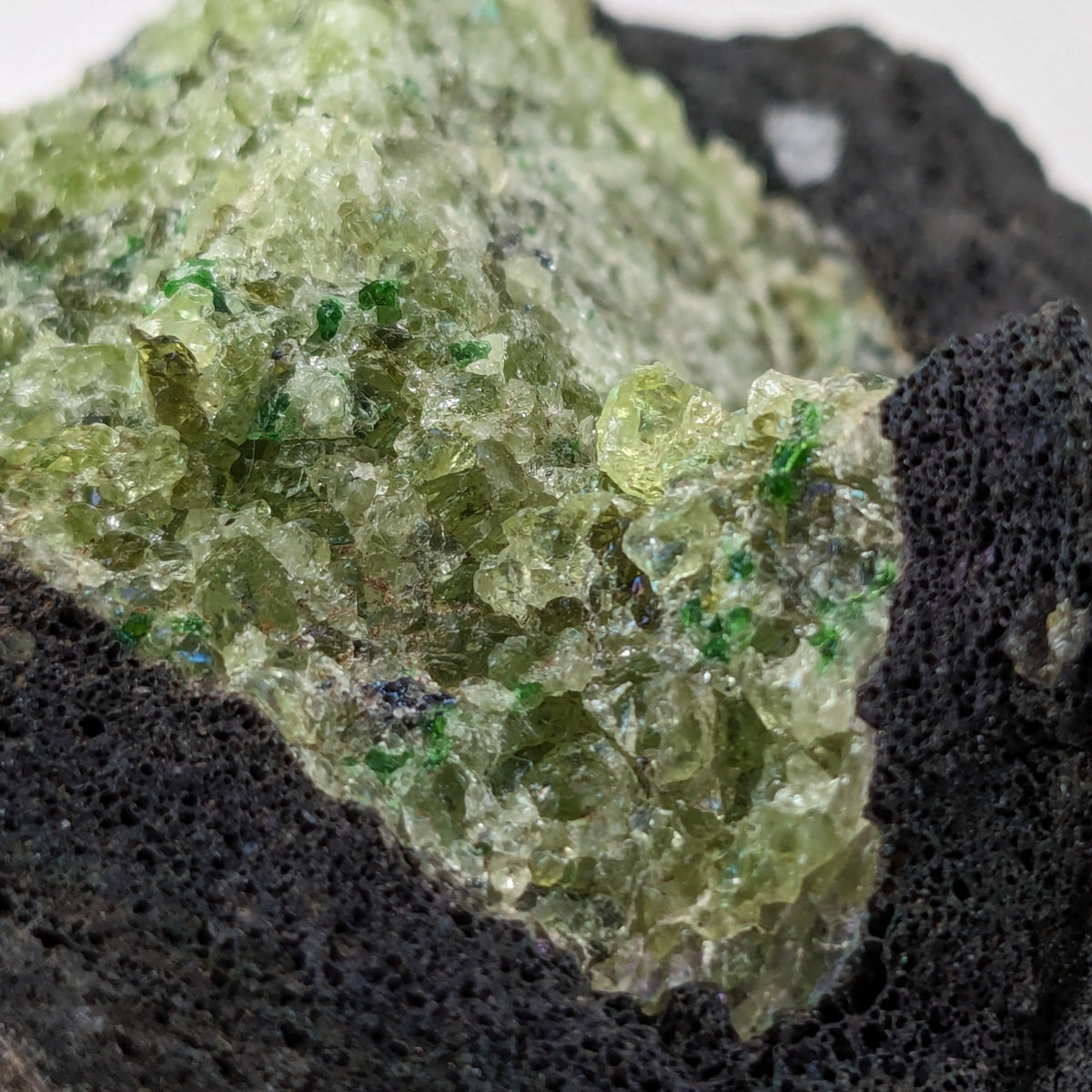  Olivine Volcanic Bomb | Lava Coated Crystal | 199 grams | Mortlake, Victoria, Australia | SO24 9