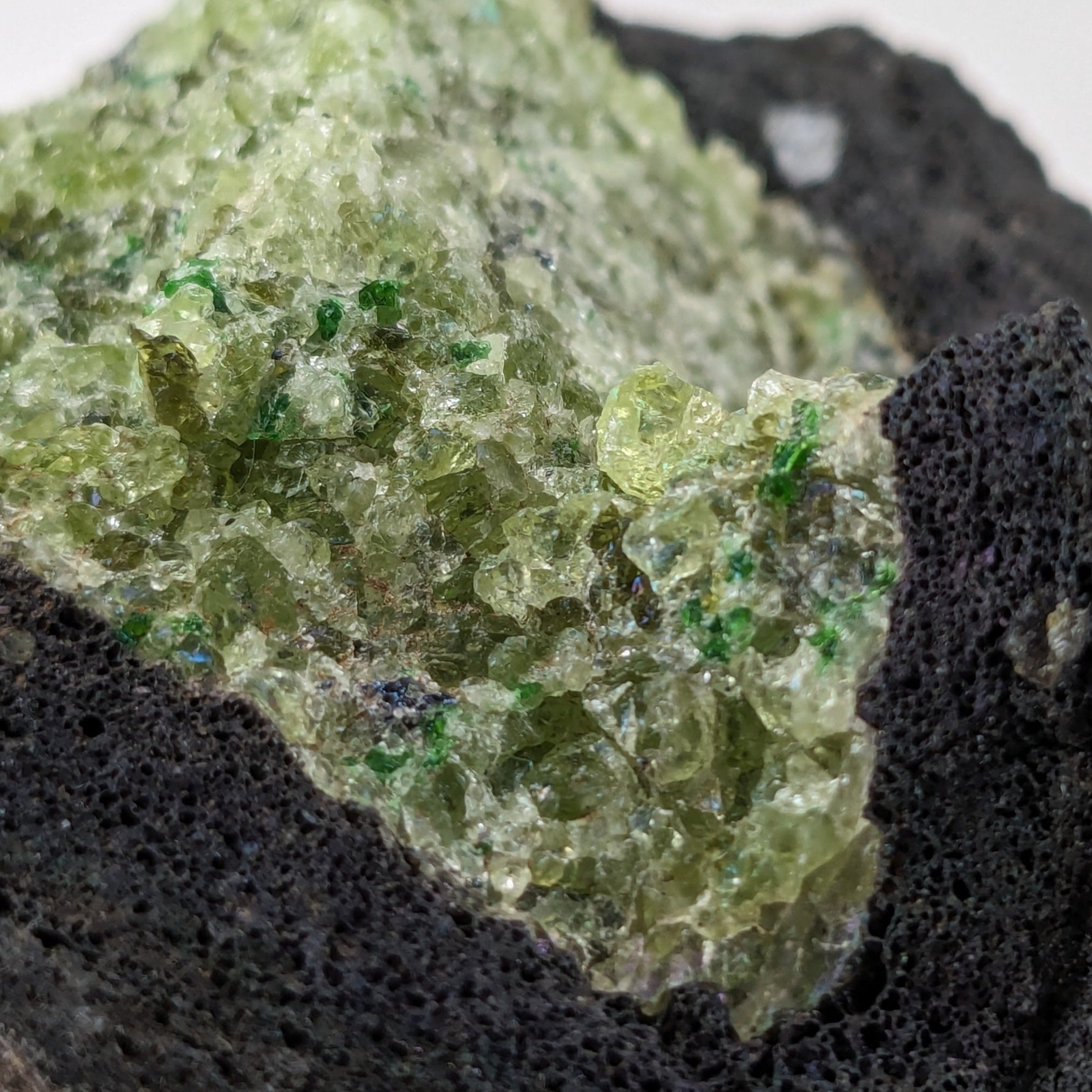  Olivine Volcanic Bomb | Lava Coated Crystal | 199 grams | Mortlake, Victoria, Australia | SO24 9