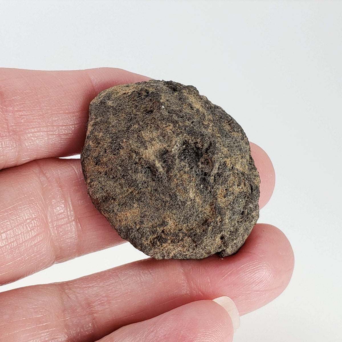  Olivine Volcanic Bomb | Lava Coated Crystal | 23 gr | Mt Shadwell Volcano, Australia 2