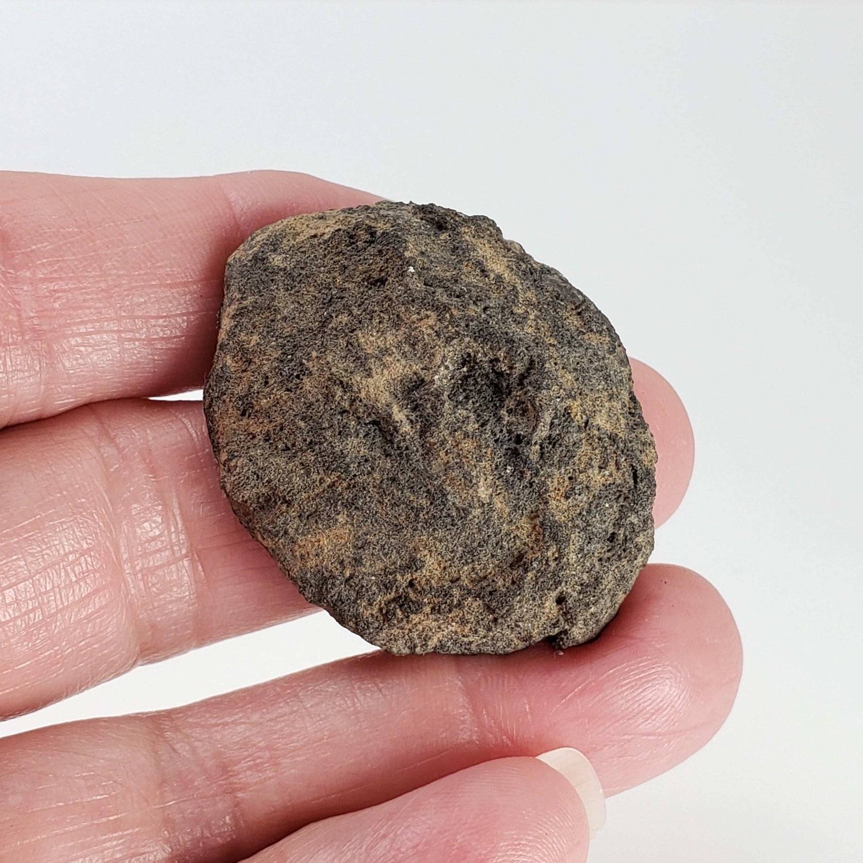  Olivine Volcanic Bomb | Lava Coated Crystal | 23 gr | Mt Shadwell Volcano, Australia 2