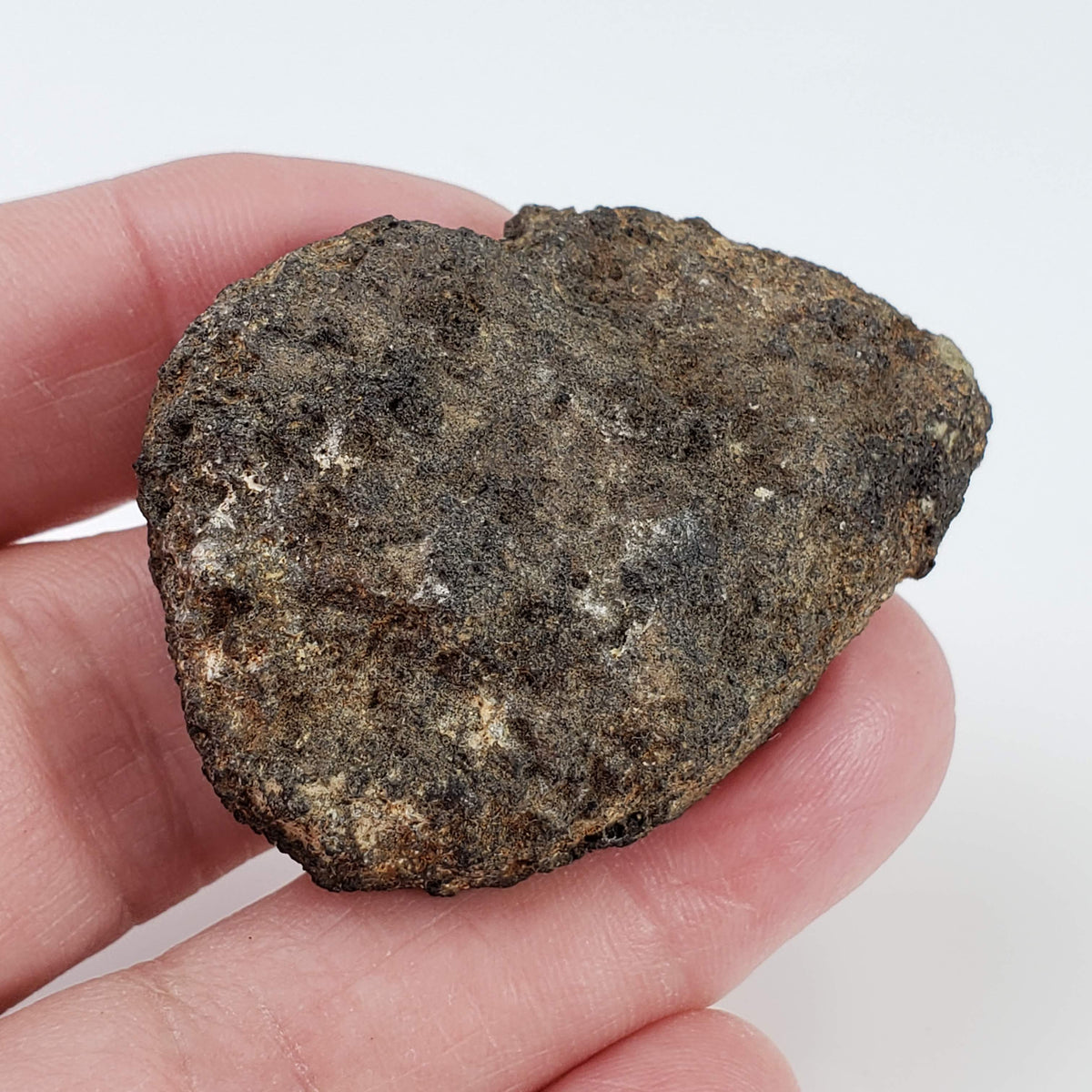  Olivine Volcanic Bomb | Lava Coated Crystal | 32.6 gr | Mt Shadwell Volcano, Australia 8