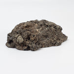  Olivine Volcanic Bomb | Lava Coated Crystal | 70 gr | Mt Shadwell Volcano, Australia 4