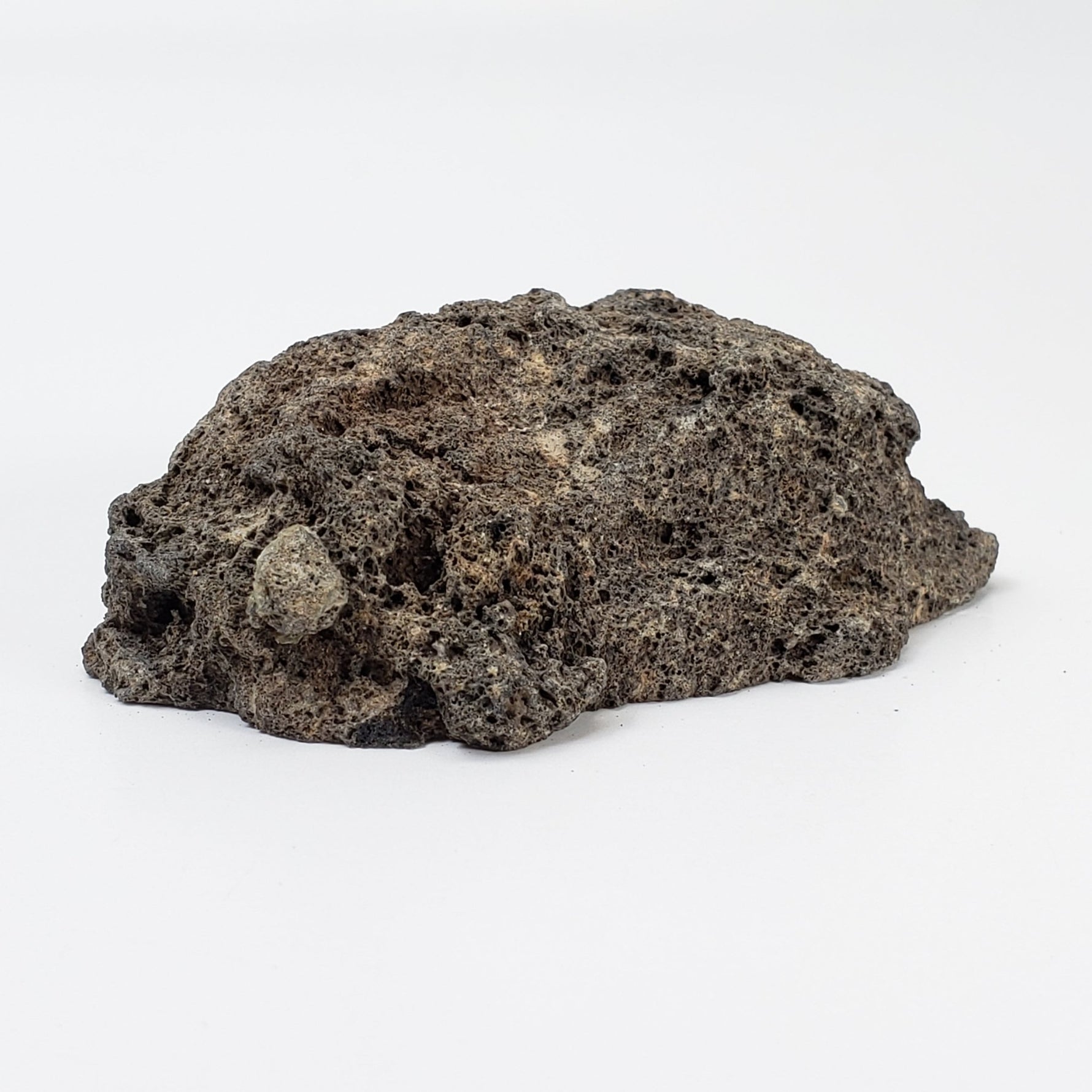  Olivine Volcanic Bomb | Lava Coated Crystal | 70 gr | Mt Shadwell Volcano, Australia 4