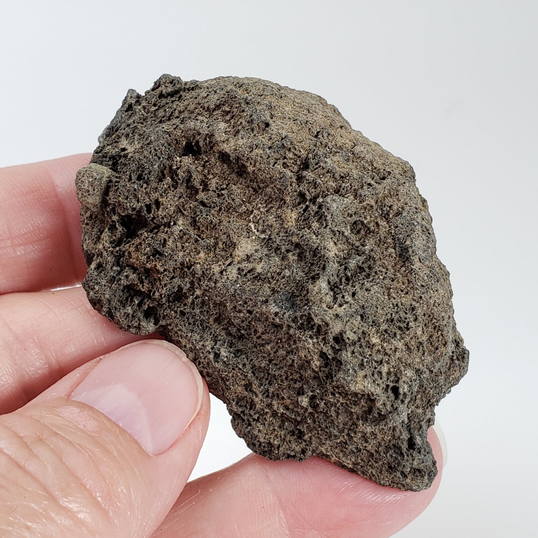  Olivine Volcanic Bomb | Lava Coated Crystal | 70 gr | Mt Shadwell Volcano, Australia 6