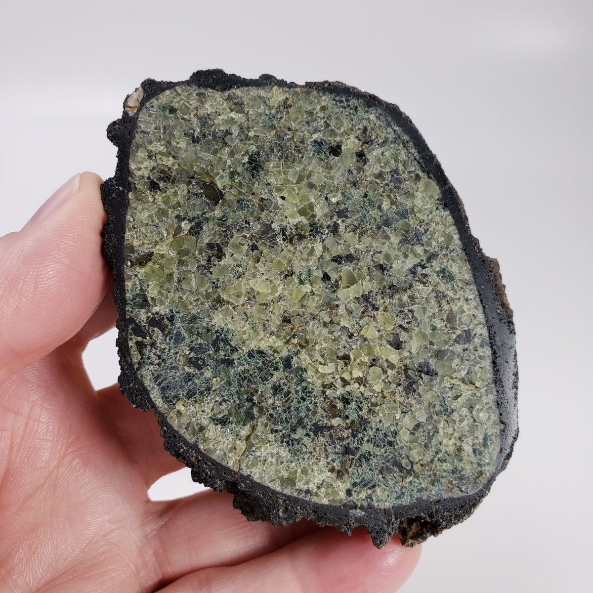  Olivine Volcanic Bomb | Lava Rock Crystal | 174.3 gr Slice | Mt Shadwell Volcano, Australia | SO24 5