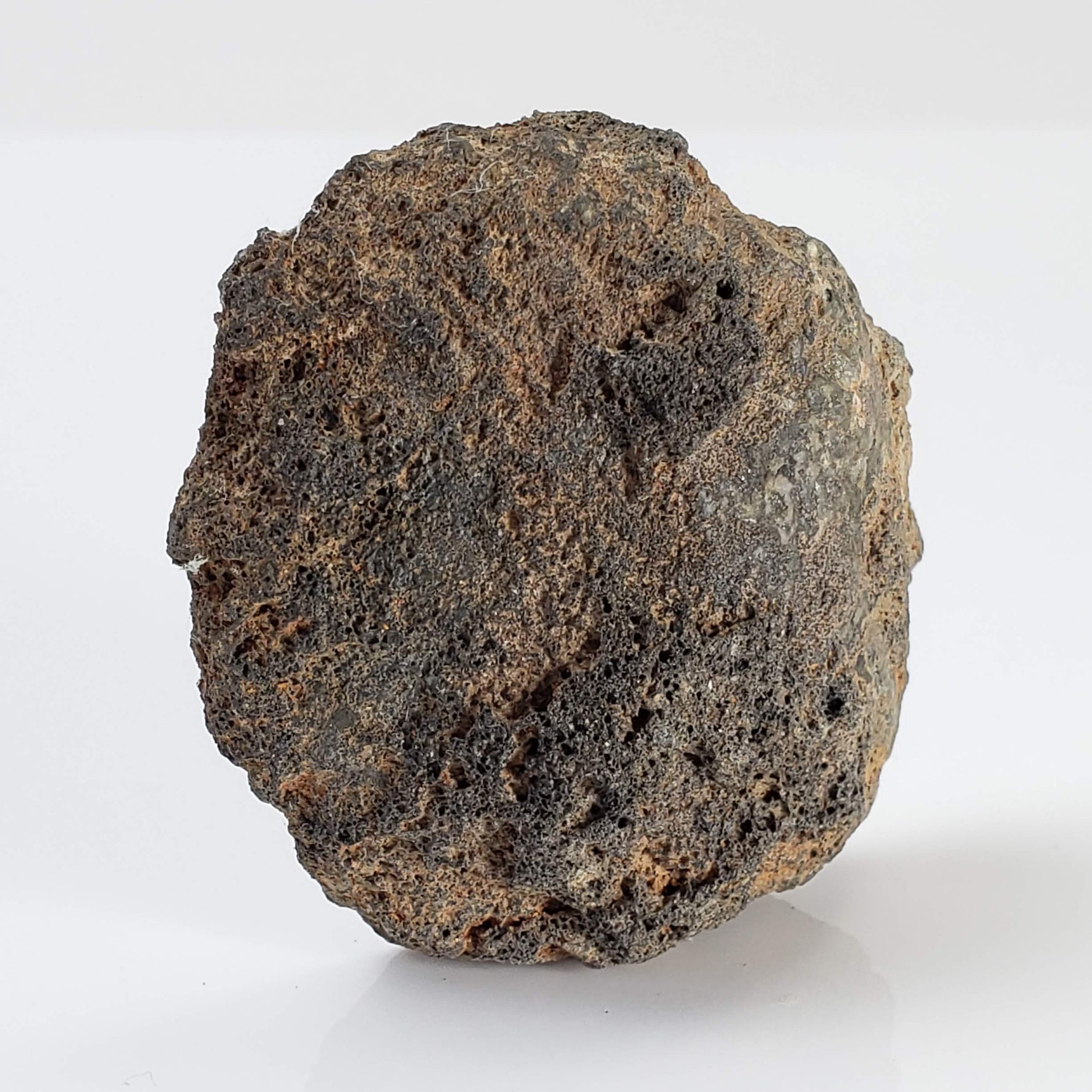 Olivine Volcanic Bomb | Lava Rock Crystal | 31.7 gr | Mt Shadwell Volcano, Australia 1