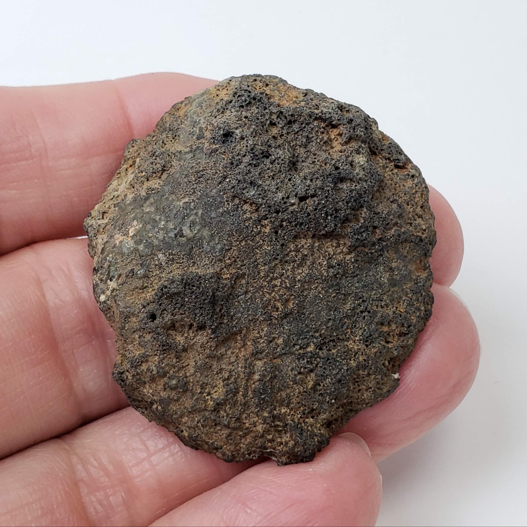  Olivine Volcanic Bomb | Lava Rock Crystal | 31.7 gr | Mt Shadwell Volcano, Australia 5