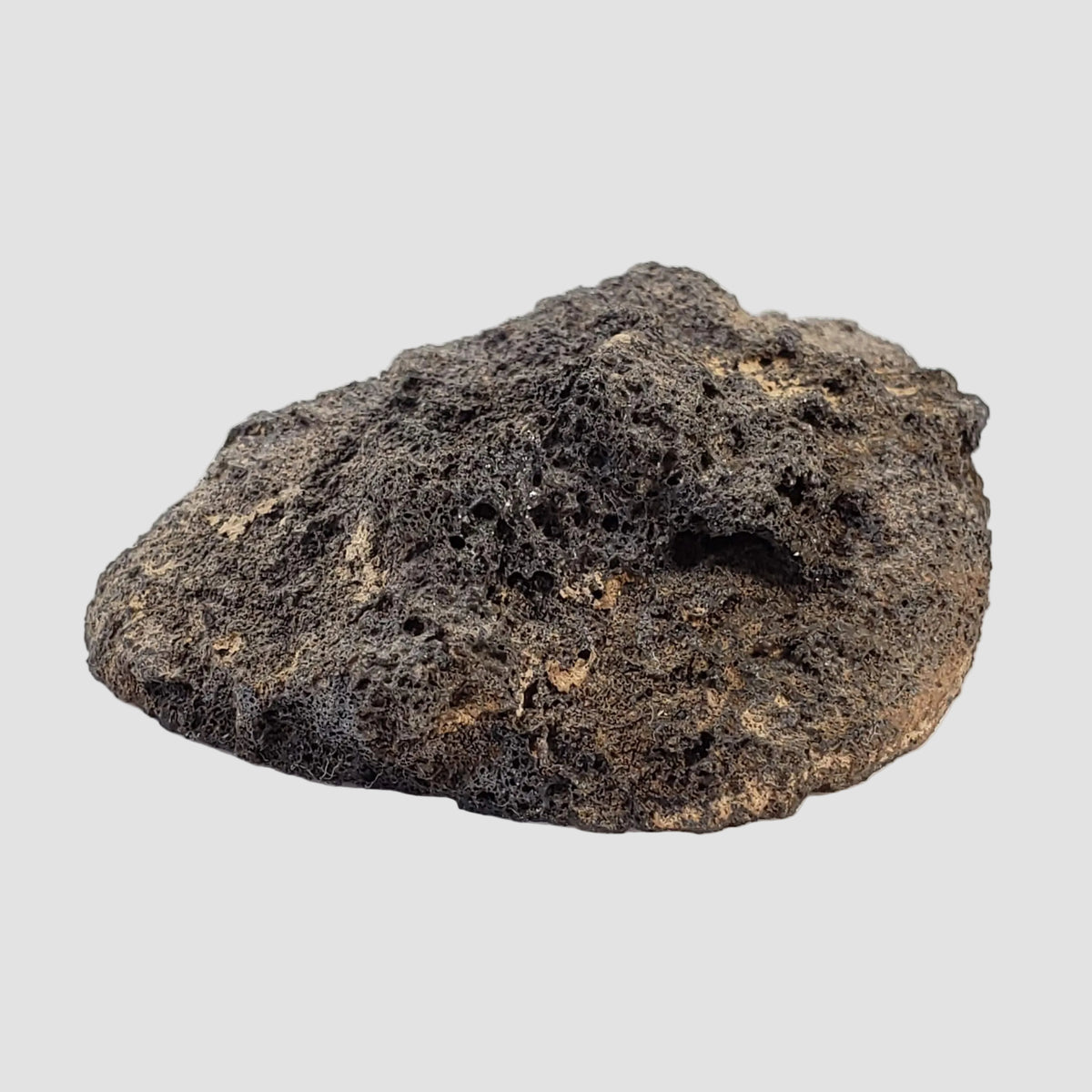 Olivine Volcanic Bomb | Lava Rock Crystal | 32.5 gr | Mt Shadwell Volcano, Australia 3