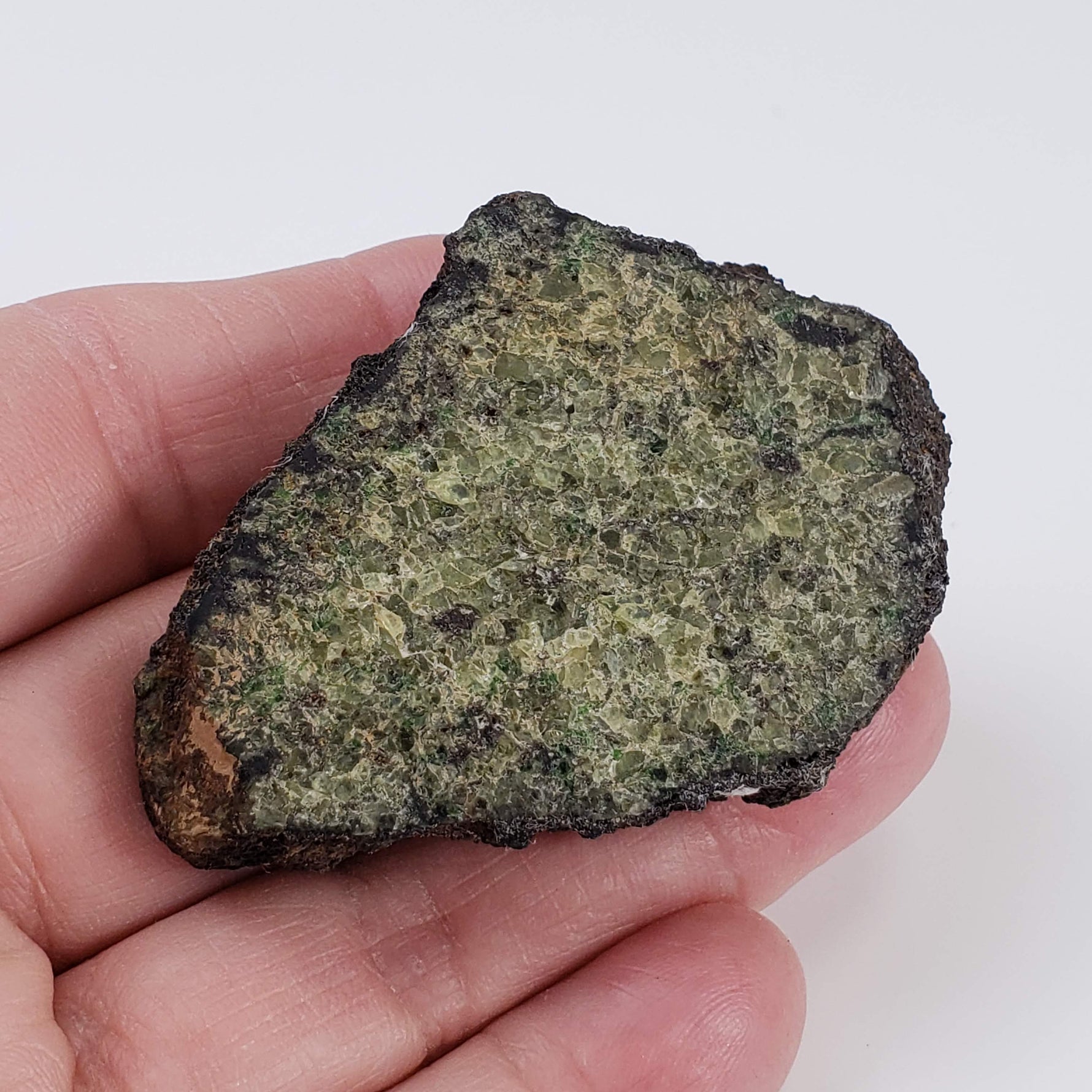 Olivine Volcanic Bomb | Lava Rock Crystal | 58.6 gr Slice | Mt Shadwell Volcano, Australia 5