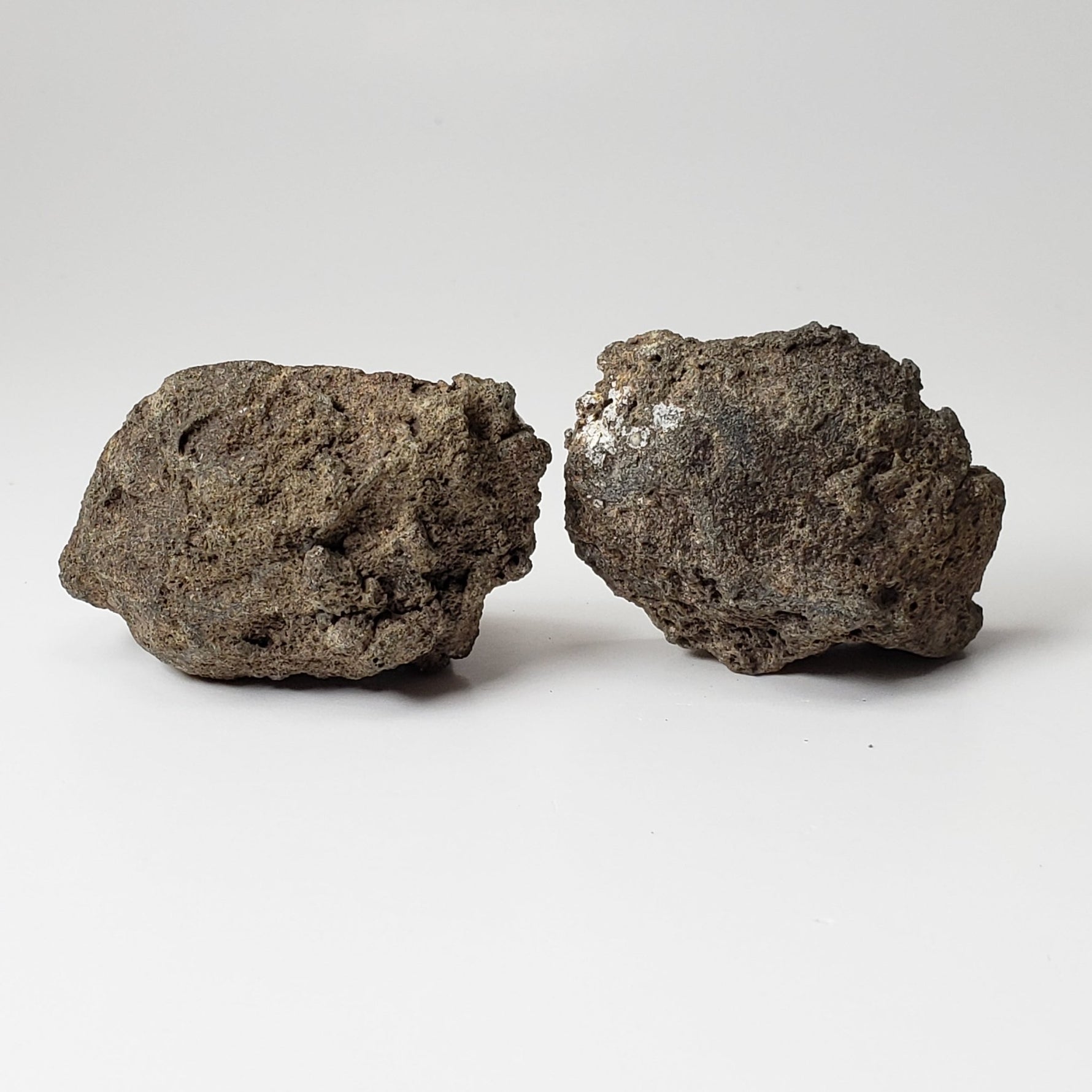  Olivine Volcanic Bomb Matching Halves | Lava Coated Crystal | 58.6 gr, | Mortlake, Victoria, Australia | SO24 3