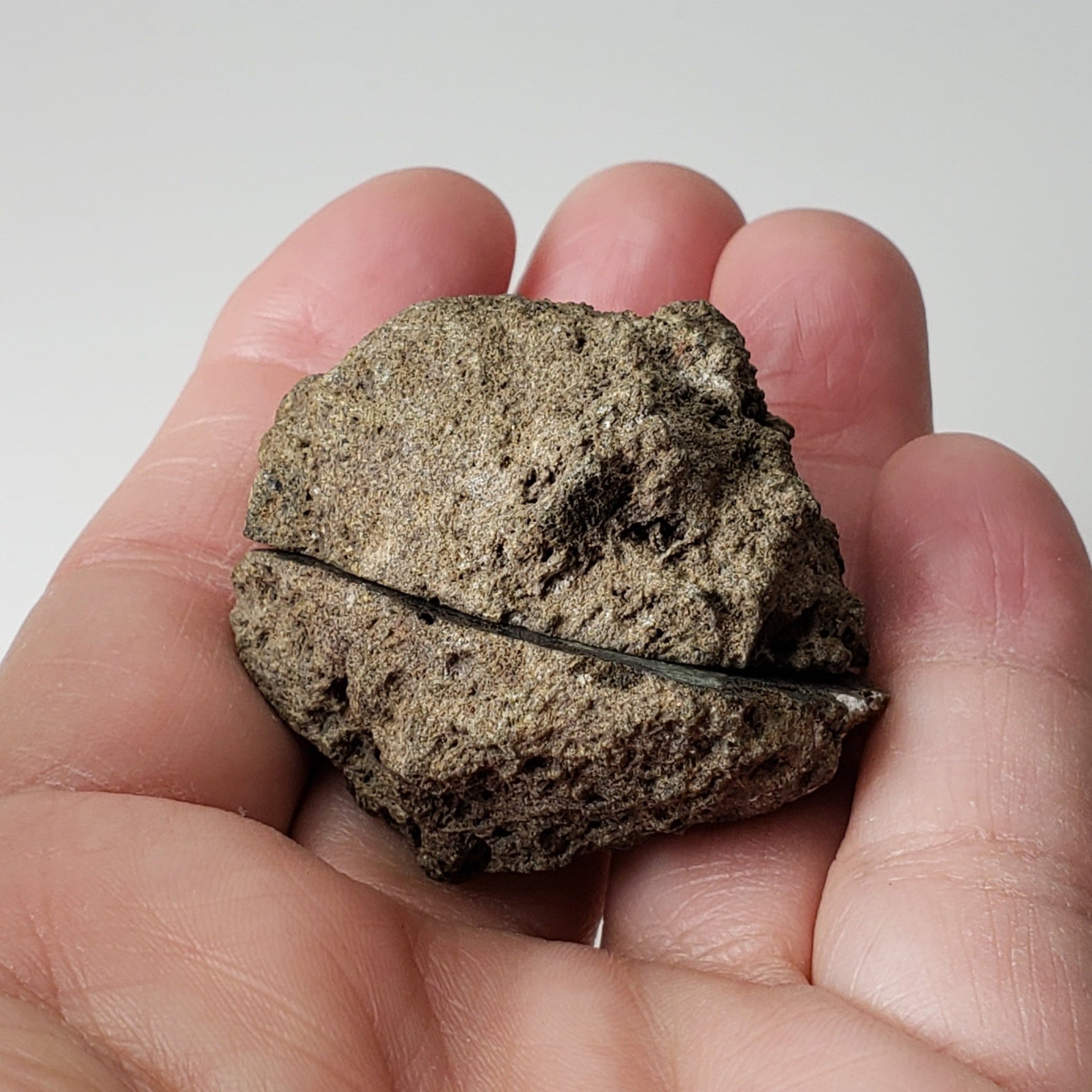  Olivine Volcanic Bomb Matching Halves | Lava Coated Crystal | 58.6 gr, | Mortlake, Victoria, Australia | SO24 6