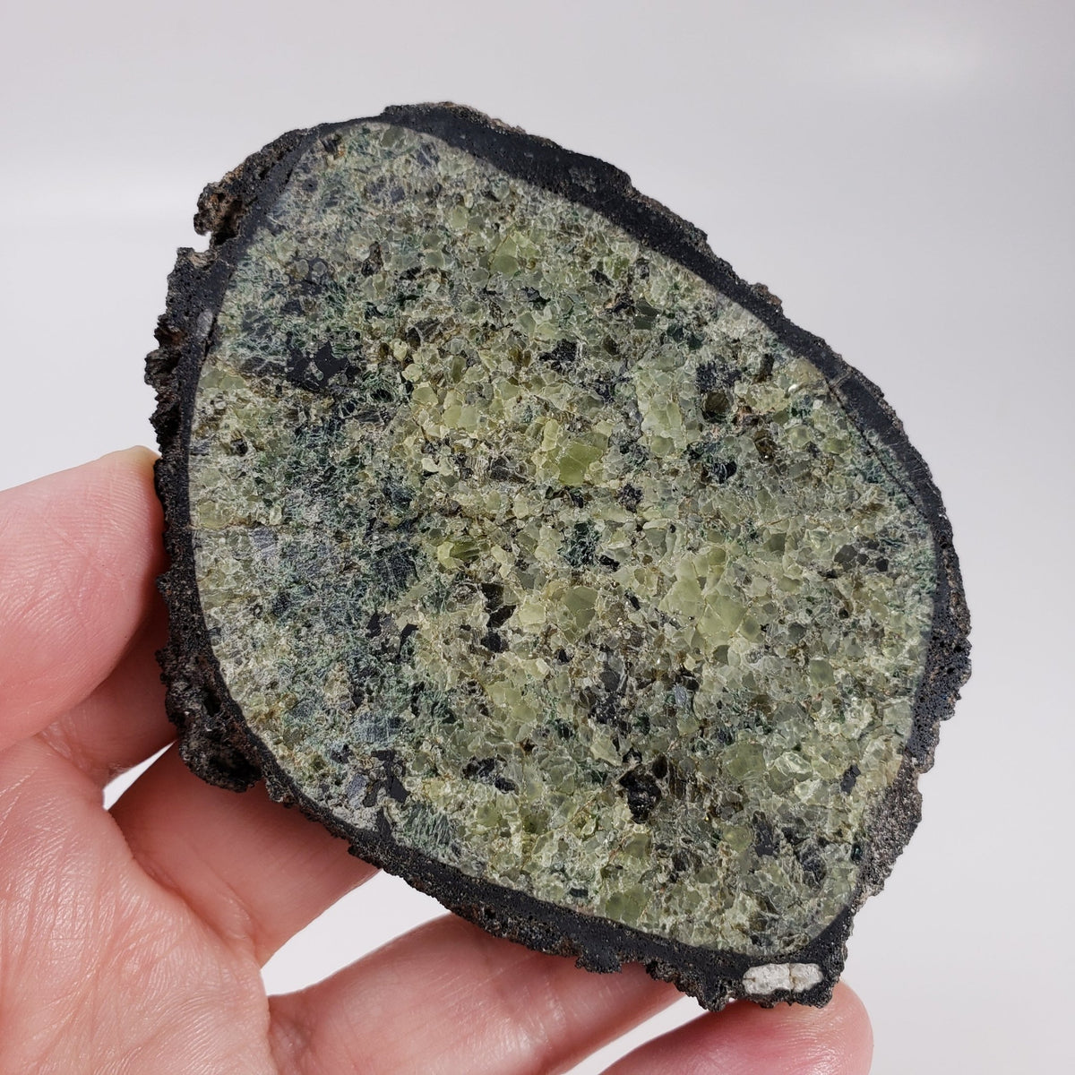  Olivine Volcanic Bomb Slice | Rock Lava Crystal | 150.7 gr | Mt Shadwell Volcano, Australia | SO24 6
