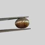  Opal Cats Eye | Oval Cabochon | Honey Color | 13.5x10.5mm 6.33ct | Africa 