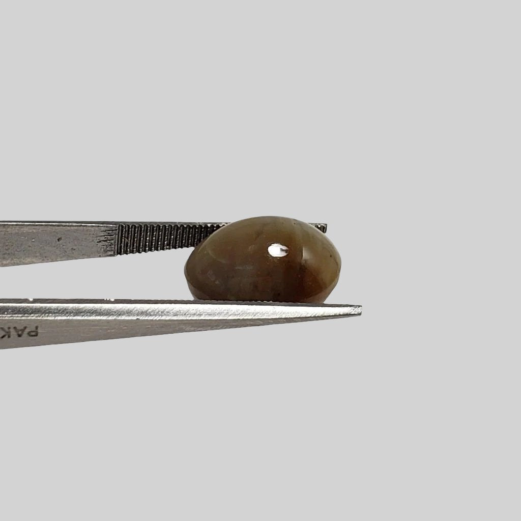  Opal Cats Eye | Oval Cabochon | Honey Color | 13.5x10.5mm 6.33ct | Africa 2