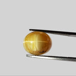  Opal Cats Eye | Oval Cabochon | Milk and Honey Color | 14x11mm 7.55ct 4