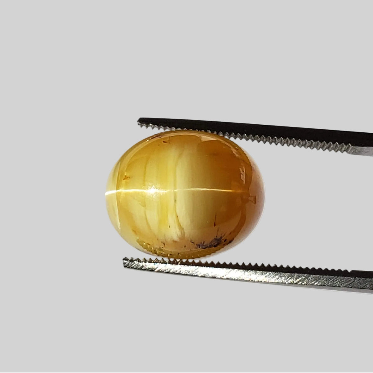  Opal Cats Eye | Oval Cabochon | Milk and Honey Color | 14x11mm 7.55ct 