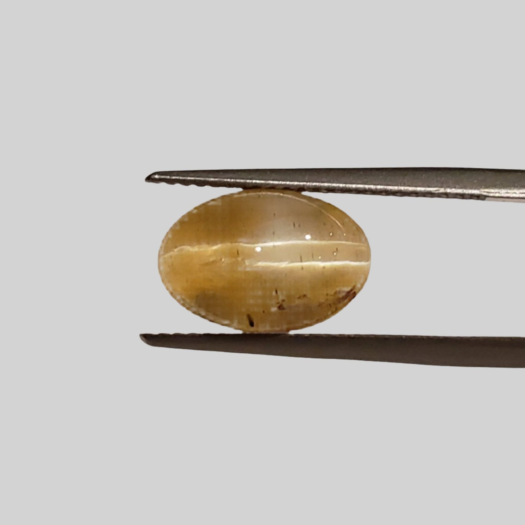  Opal Cats Eye | Oval Cabochon | Yellow | 12.3x8.2mm 4.2ct 1