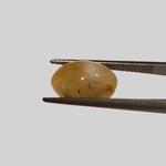  Opal Cats Eye | Oval Cabochon | Yellow | 12.3x8.2mm 4.2ct 3