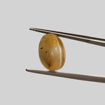  Opal Cats Eye | Oval Cabochon | Yellow | 12.3x8.2mm 4.2ct 5