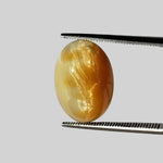 Opal Cats Eye | Oval Cabochon | Yellow | 16.4x11.6mm 8.7ct 1