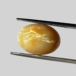  Opal Cats Eye | Oval Cabochon | Yellow | 16.4x11.6mm 8.7ct 2