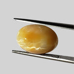  Opal Cats Eye | Oval Cabochon | Yellow | 16.4x11.6mm 8.7ct 4