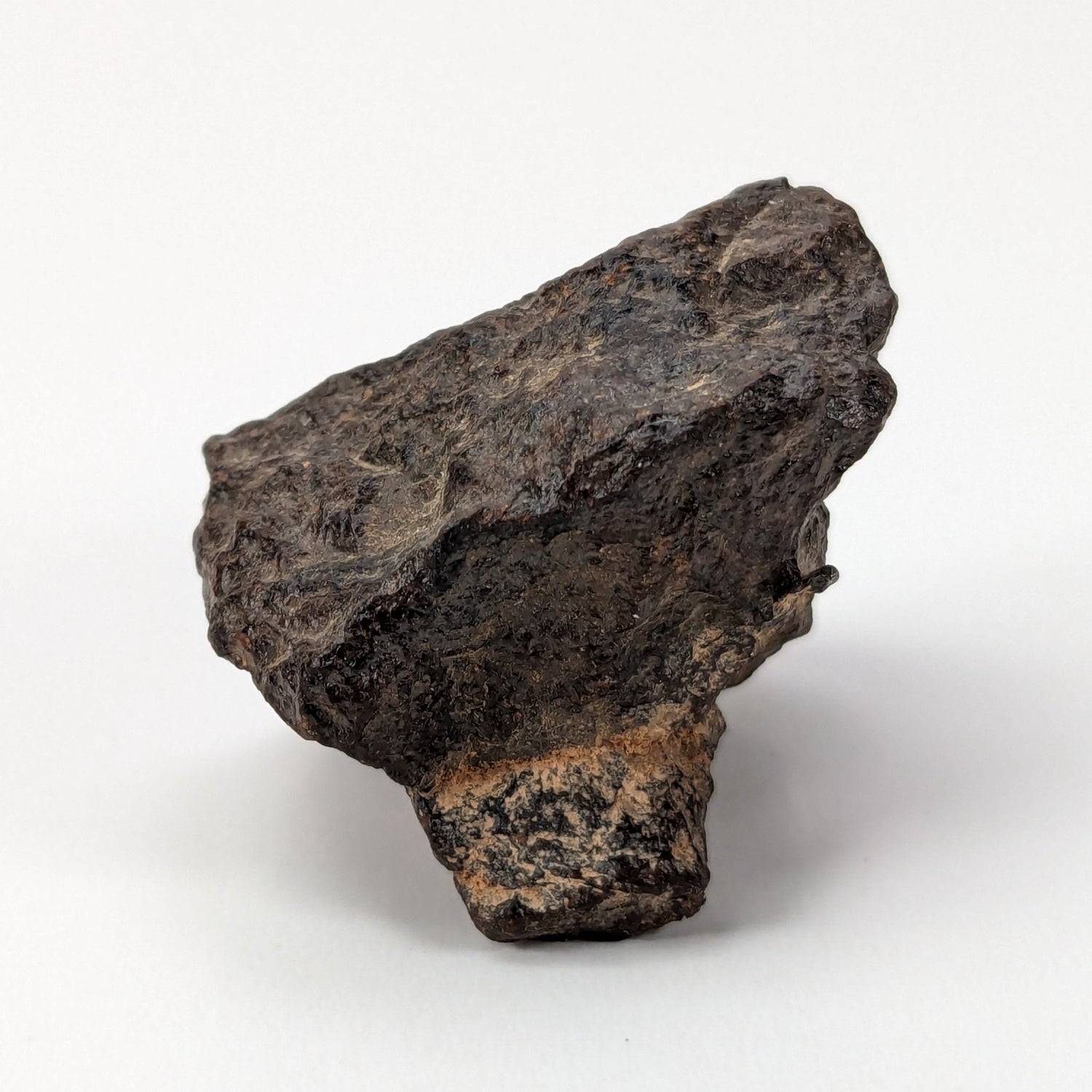 NWA 267 Meteorite | 16.6 Grams | H4 Chondrite | First Used in Legal Tender Coin | Sahara