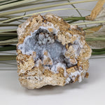 MineralsCanagem.com