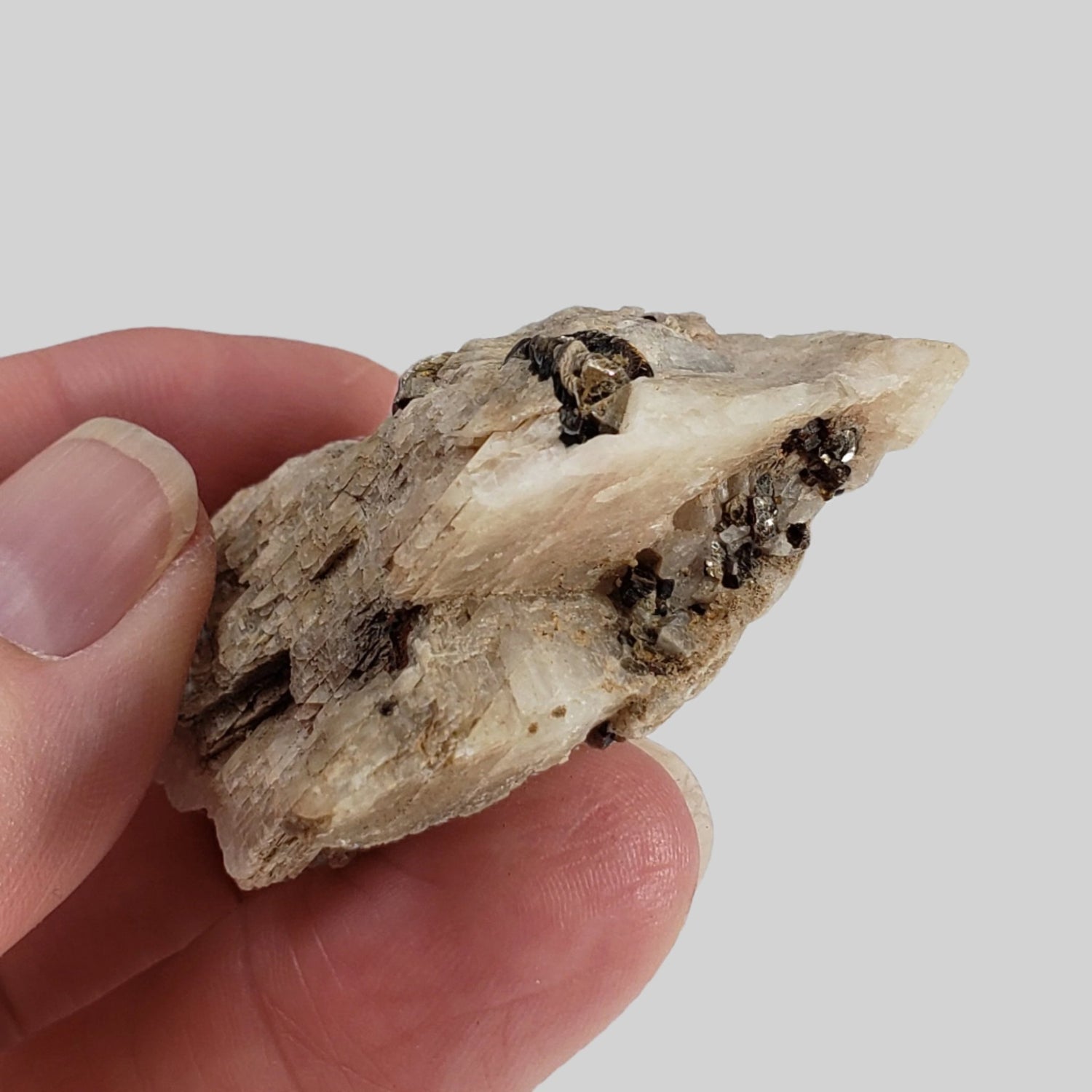  Phlogopite on Matrix | 42.6 Grams | Ontario, Canada 