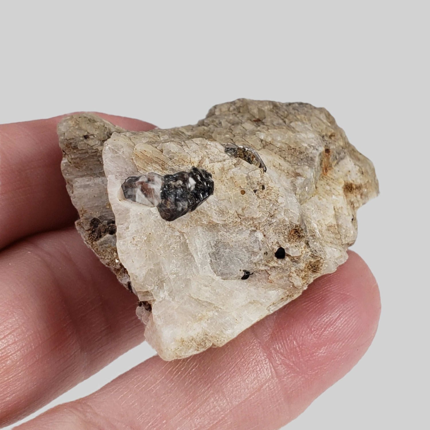  Phlogopite on Matrix | 42.6 Grams | Ontario, Canada 1