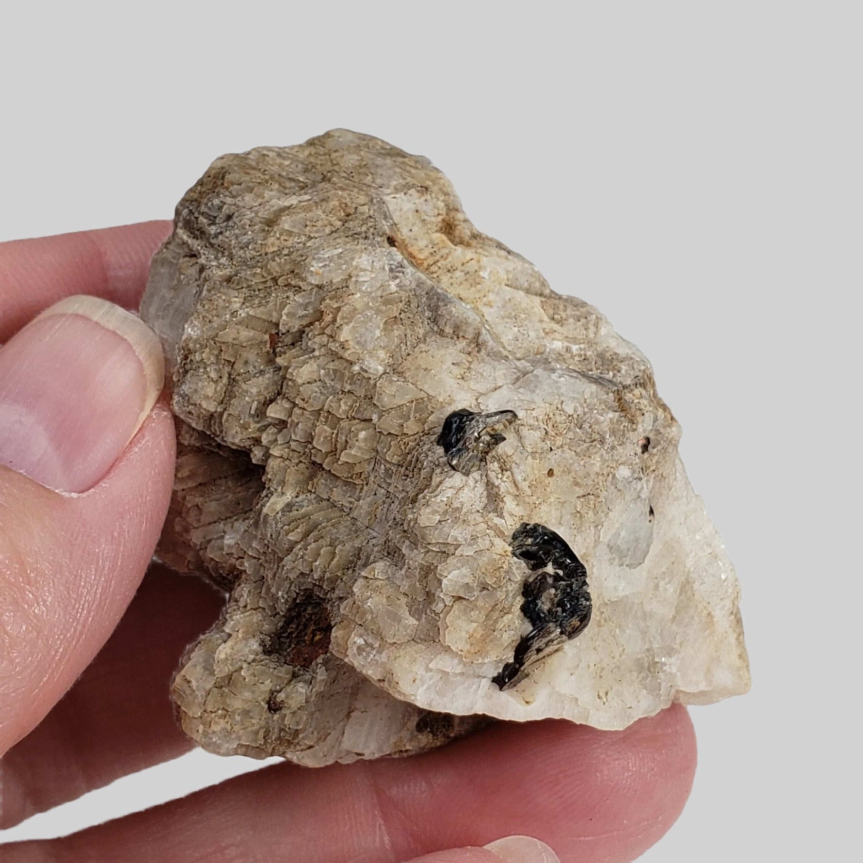  Phlogopite on Matrix | 42.6 Grams | Ontario, Canada 2