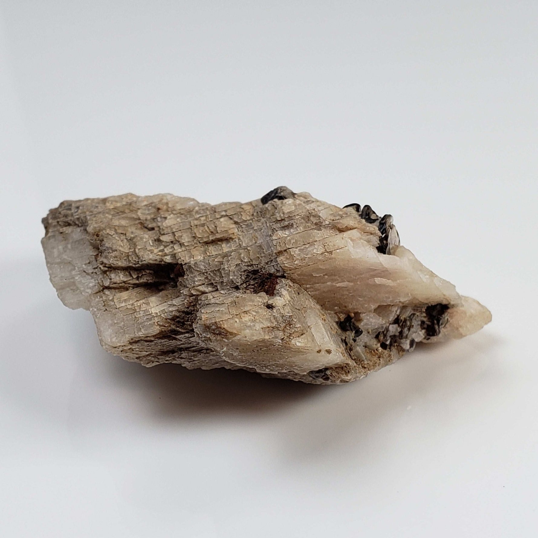 Phlogopite on Matrix | 42.6 Grams | Ontario, Canada 3