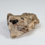  Phlogopite on Matrix | 42.6 Grams | Ontario, Canada 4