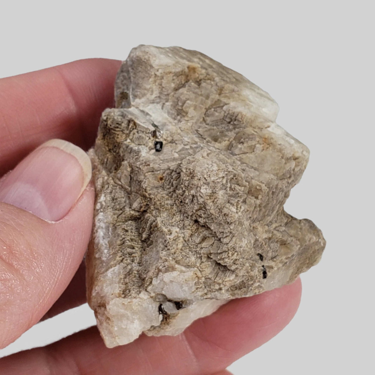  Phlogopite on Matrix | 42.6 Grams | Ontario, Canada 5