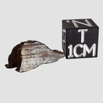 Pierceville Meteorite | 1.81 Gr | End Cut | Iron IIIAB | Kansas, USA 0
