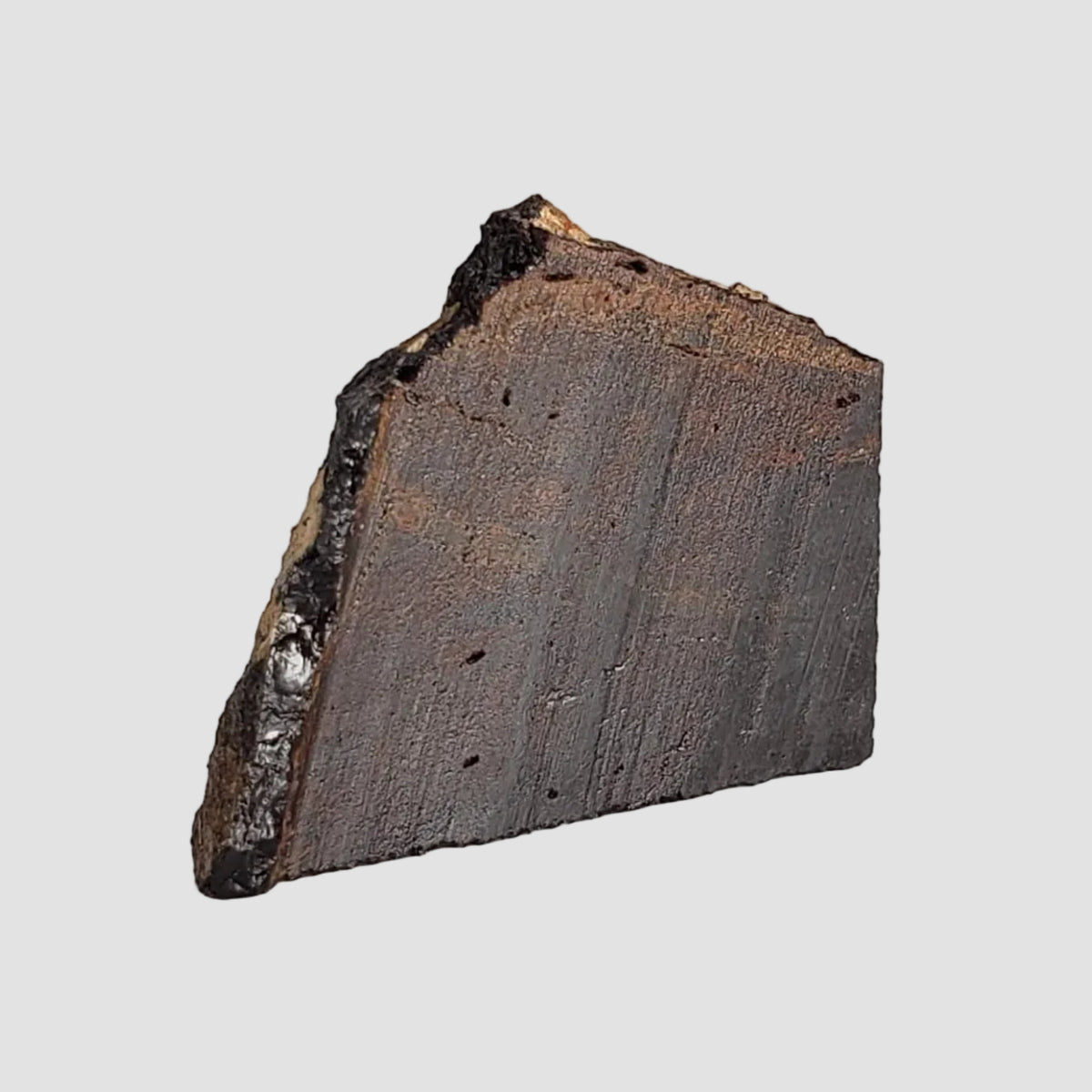 Pierceville Meteorite | 2.62 Gr | Slice | Iron IIIAB | Kansas, USA 2