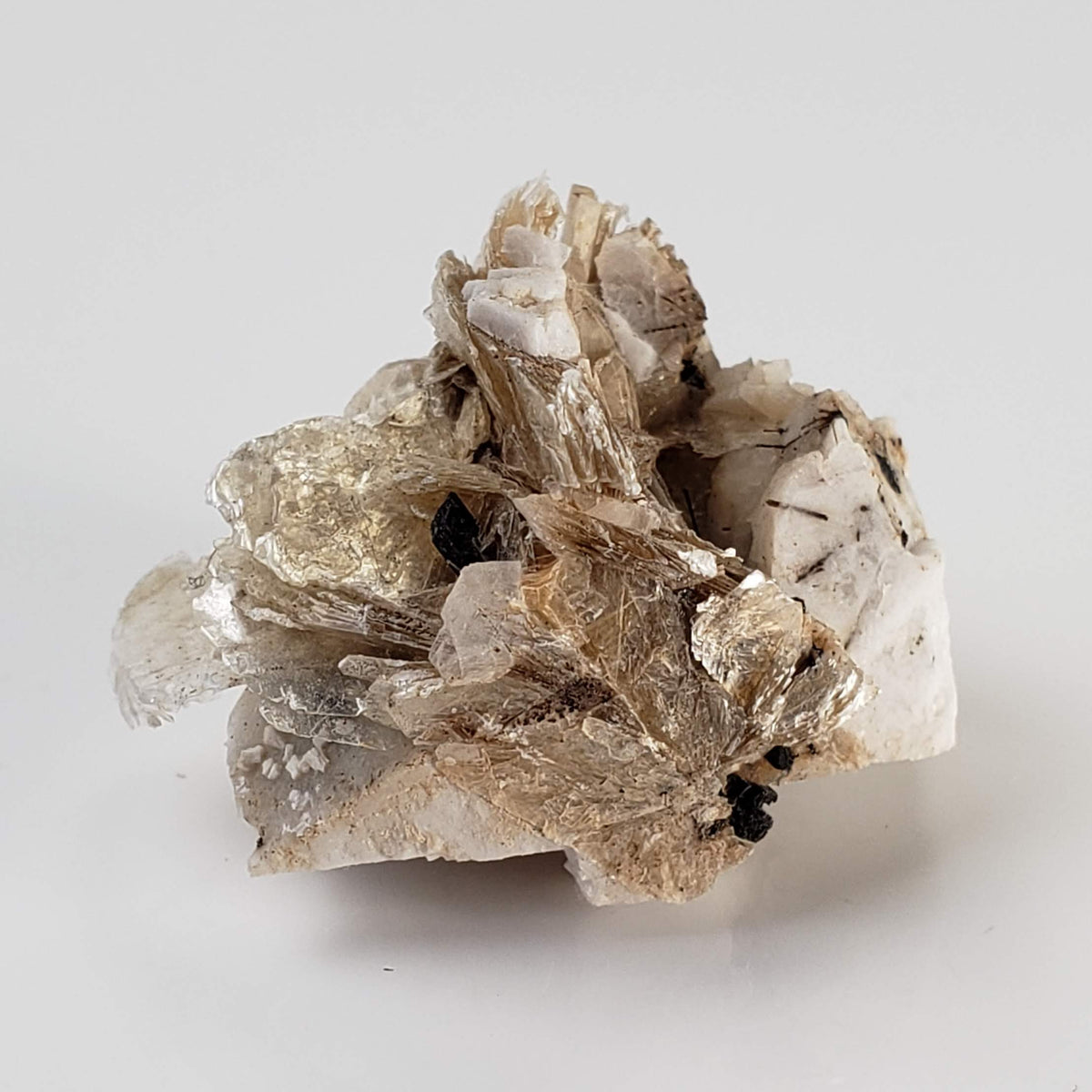  Polylithionite and Aegirine Crystal Cluster | 8.97 grams | Poudrette Quarry, Mont-Saint-Hilaire, Canada 